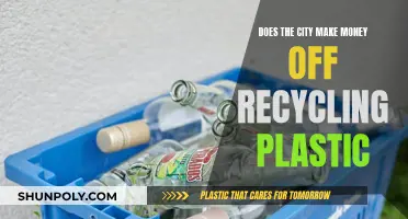How Cities Monetize Plastic Recycling Efforts