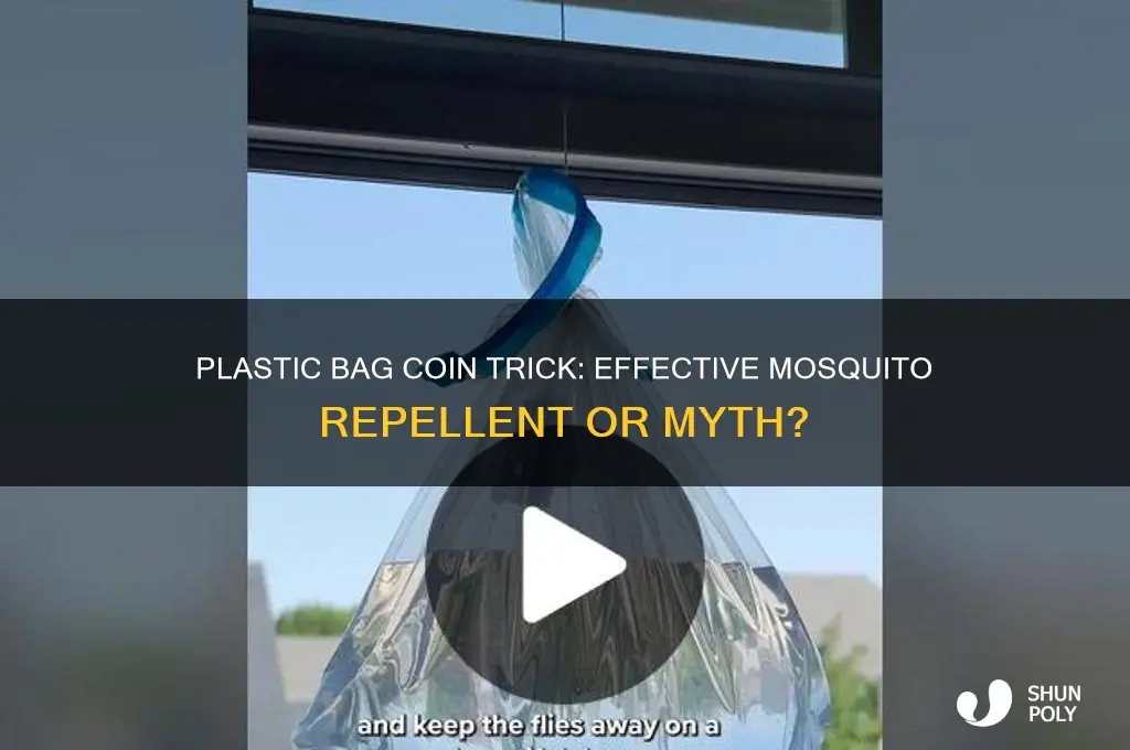 does the coins in plastic bag work on mosquitoes