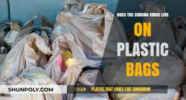 Can Coronavirus Survive on Plastic Bags? Facts and Safety Tips