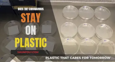 How Long Does Coronavirus Survive on Plastic?