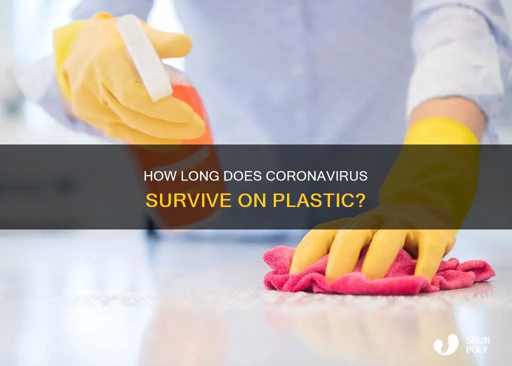 does the coronavirus stay on plastic