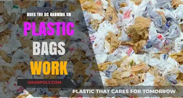 DC's Plastic Bag Ban: Success or Environmental Miss?