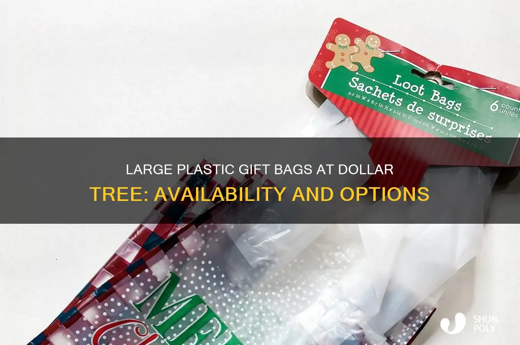 does the dollar tree carry large plastic gift bags