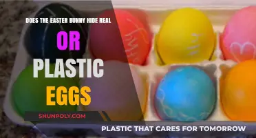 The Great Easter Egg Debate: Real or Plastic?