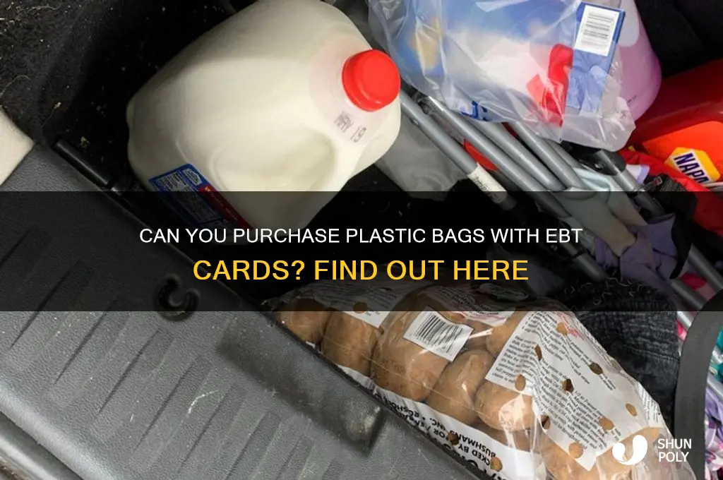 does the ebt card buy plastic bags
