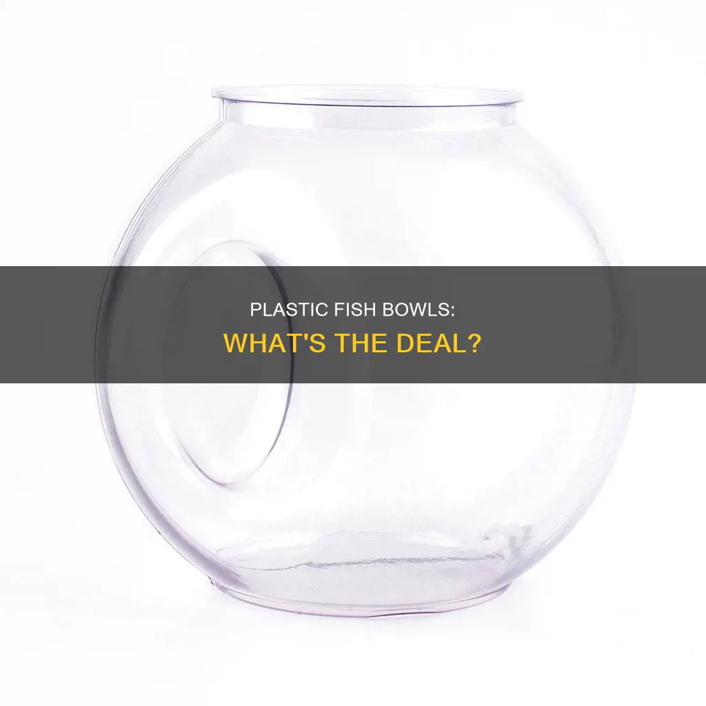 does the fish bowl plastic matter