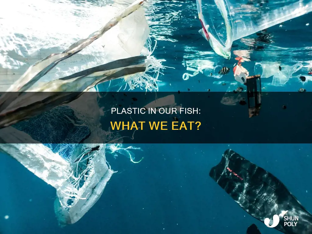 does the fish we eat contain plastic