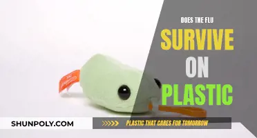 How Long Does the Flu Virus Survive on Plastic?
