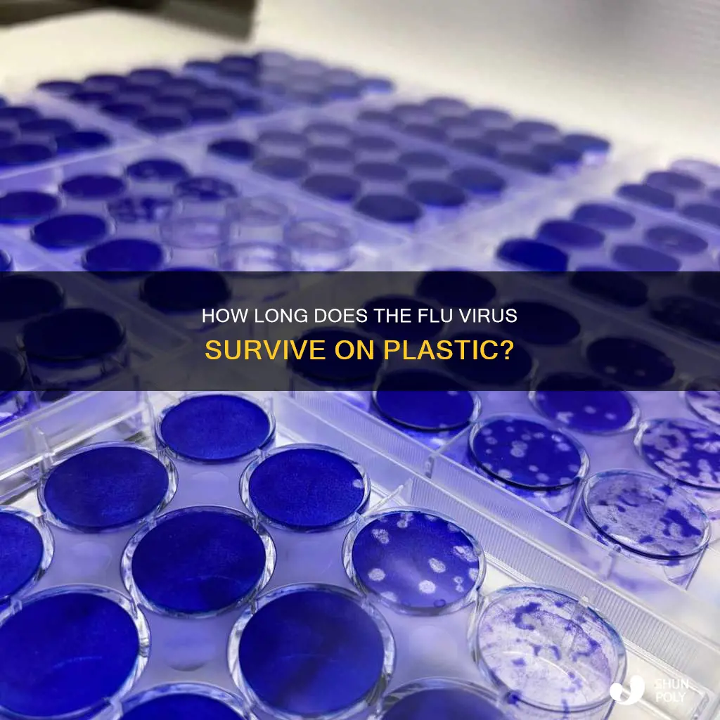 does the flu survive on plastic