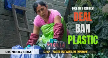 The Green New Deal: Plastic's Future?