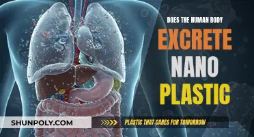 Human Body and Nano Plastic: Excretion Mystery