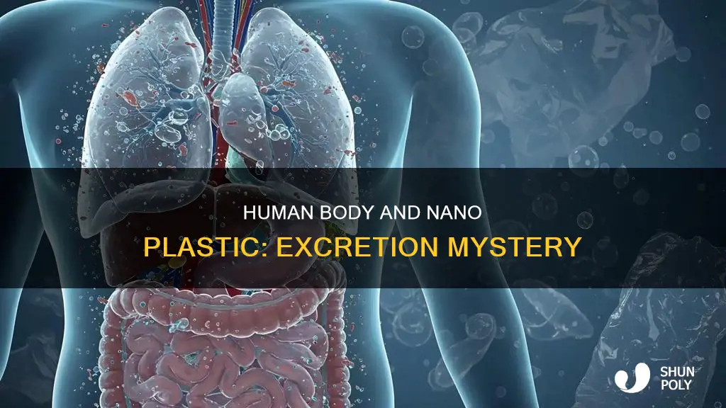 does the human body excrete nano plastic