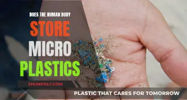 Microplastics: Are They in Our Bodies?