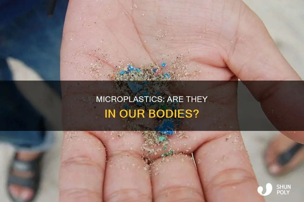 does the human body store micro plastics