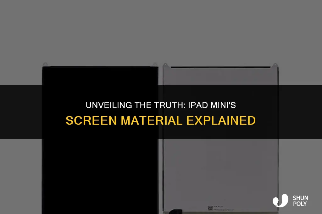 does the ipad mini have a plastic screen