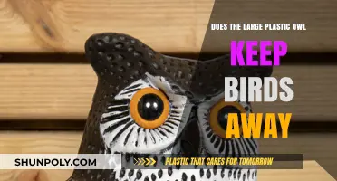 Scaring Off Feathered Friends: The Efficacy of Plastic Owls as Bird Deterrents
