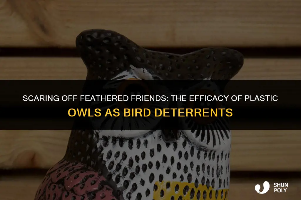 does the large plastic owl keep birds away