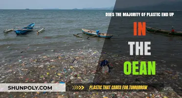 The Alarming Truth: Where Does Our Plastic Really End Up?