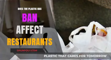 Plastic Bag Ban Impact: How Restaurants Adapt to New Regulations