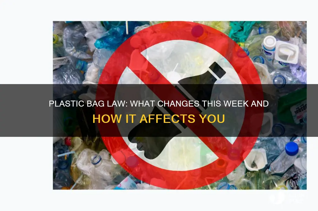 does the plastic bag law go into effect this week