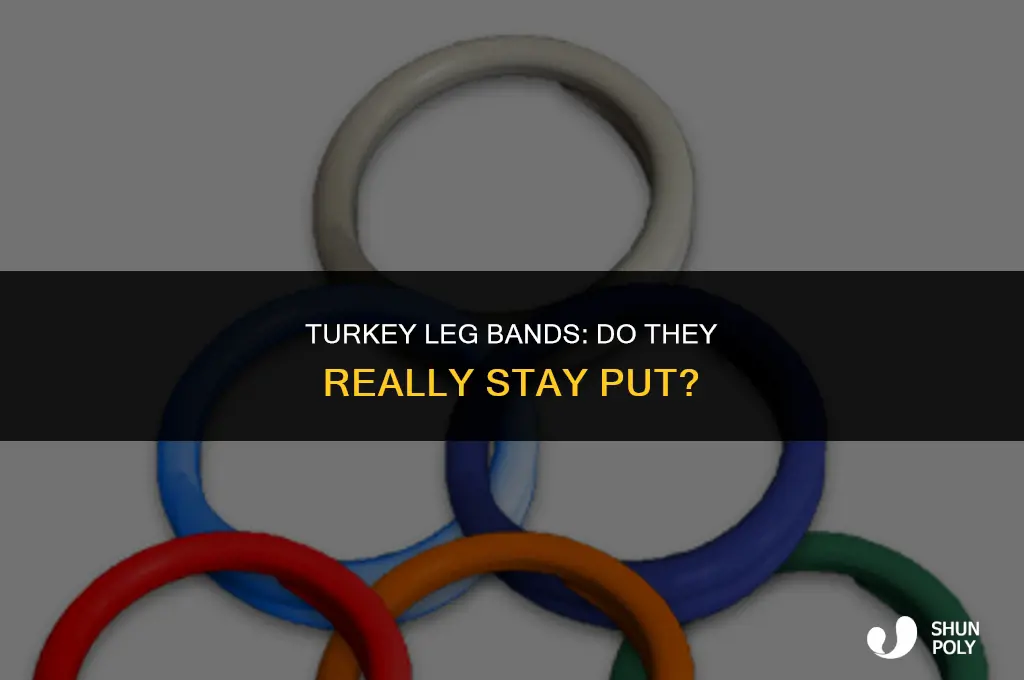 does the plastic band stay on the turkey legs