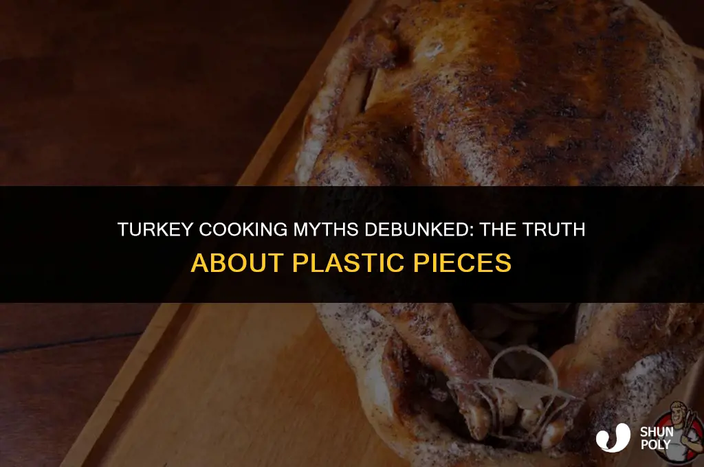 does the plastic piece stay in the turkey