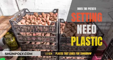 The Best Way to Store Potatoes: Plastic or Not?
