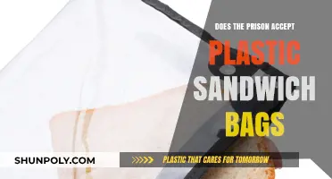 Can You Bring Plastic Sandwich Bags to Prison? Rules Explained