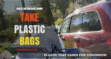 Does Raleigh's Dump Accept Plastic Bags? Recycling Guidelines Explained