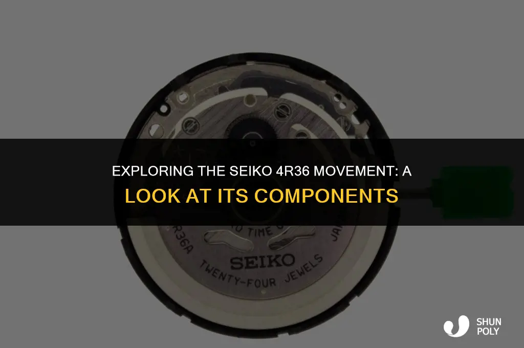 does the seiko 4r36 movement have any plastic parts