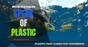 Plastic Pollution: The Sixth Extinction's Dark Side