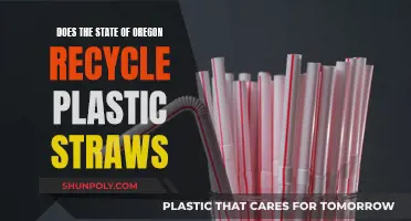 Oregon's Plastic Straw Recycling: A Green Revolution or a Drop in the Ocean?