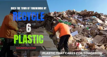 Tonawanda's Plastic Recycling: A Town's Commitment to Environmental Action