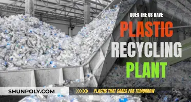 US Plastic Recycling: A Comprehensive Overview of Facilities and Challenges