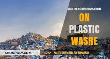 Navigating the Complex Landscape of Plastic Waste Regulations in the US