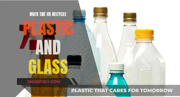 Unveiling America's Recycling Reality: Plastic and Glass