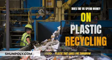 Unveiling US Plastic Recycling Costs: A Financial Analysis