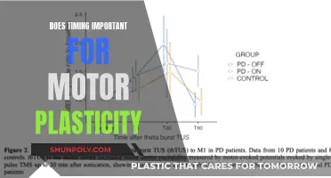 Motor Plasticity: Timing's Role in Brain Rewiring