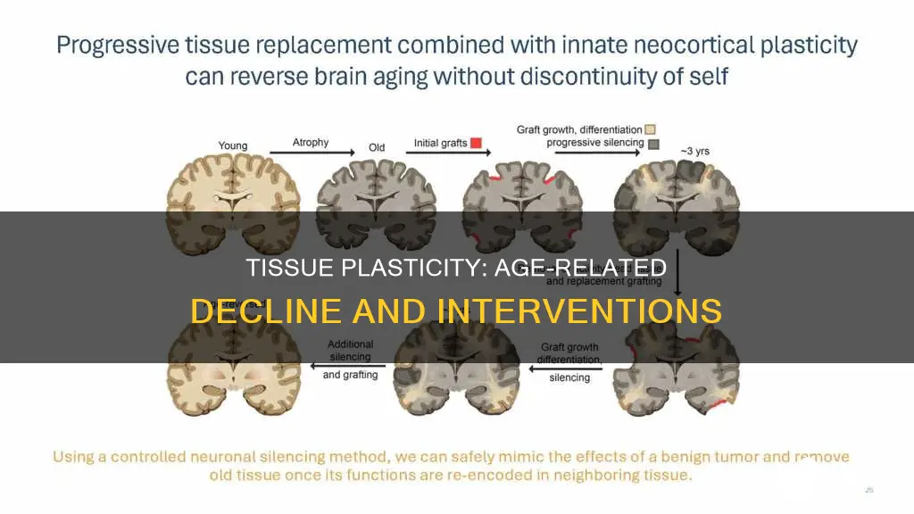 does tissue plasticity decrease with age