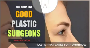 Turkey's Plastic Surgery Scene: Are Its Surgeons Truly World-Class?