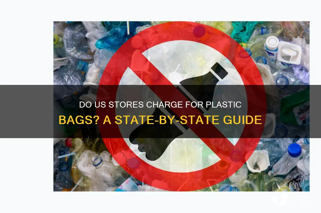 does united states charge for plastic bags
