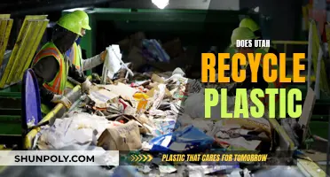 Utah's Plastic Recycling Journey: Progress and Potential