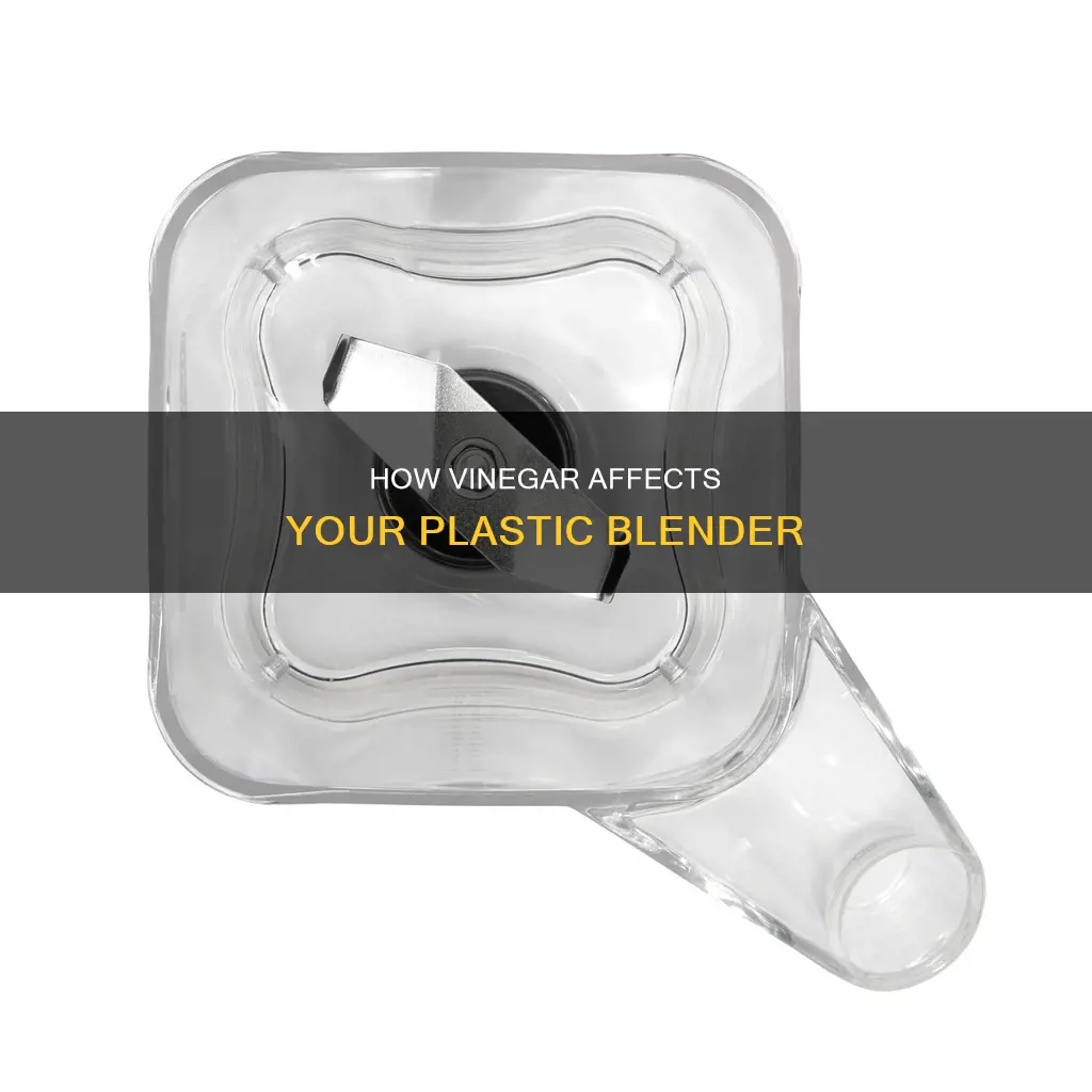 does vinegar break down plastic blender containers