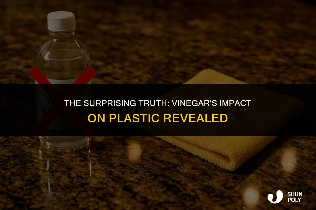Does Vinegar Destroy Plastic