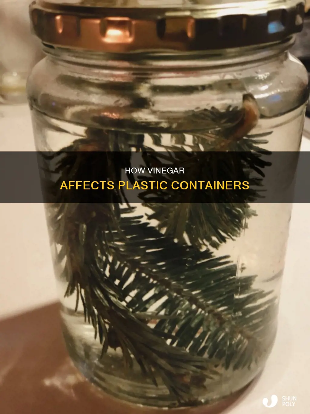 does vinegar eat away plastic containers