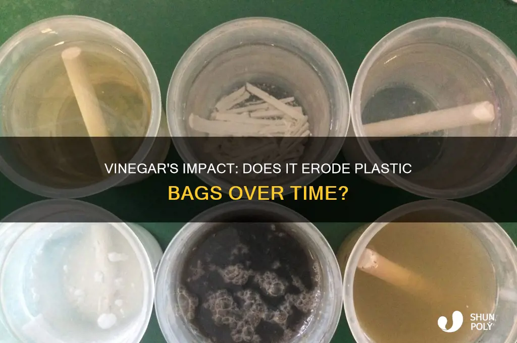 does vinegar erode plastic bags