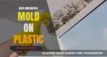 How to Use Vinegar to Kill Mold on Plastic