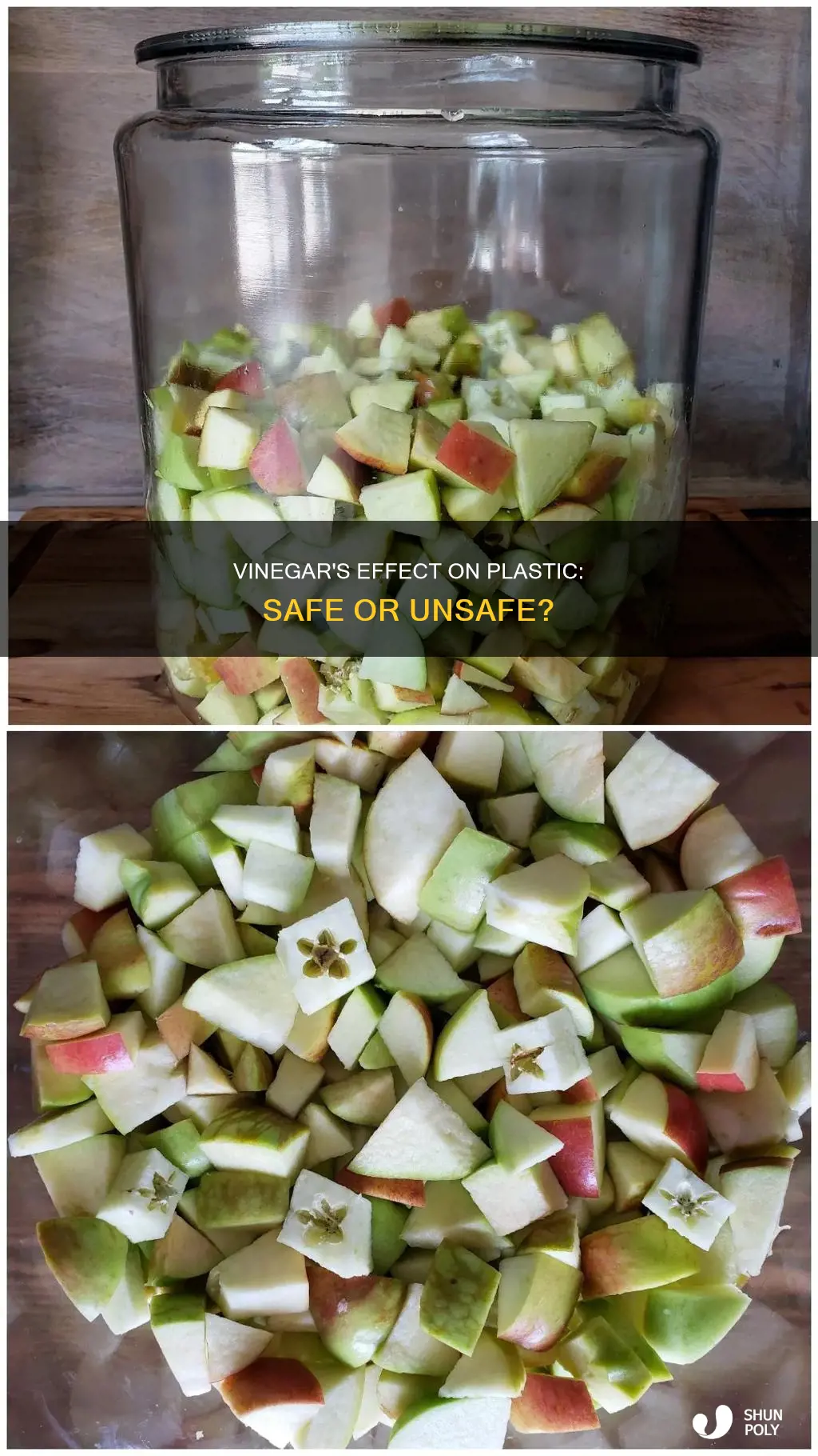 does vinegar rat away plastic containers
