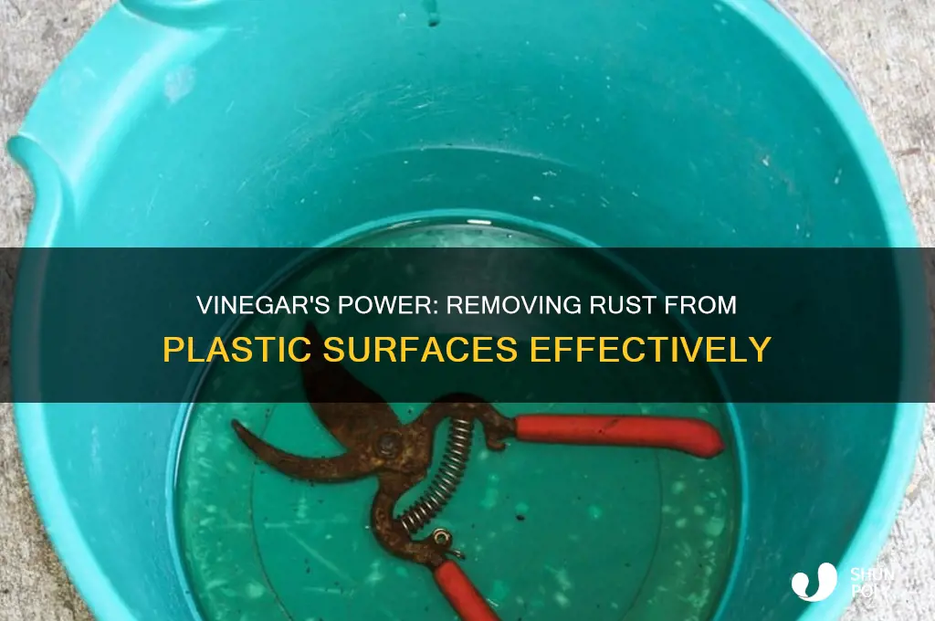does vinegar remove rust from plastic