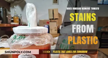 Vinegar's Power: Removing Tomato Stains from Plastic Surfaces